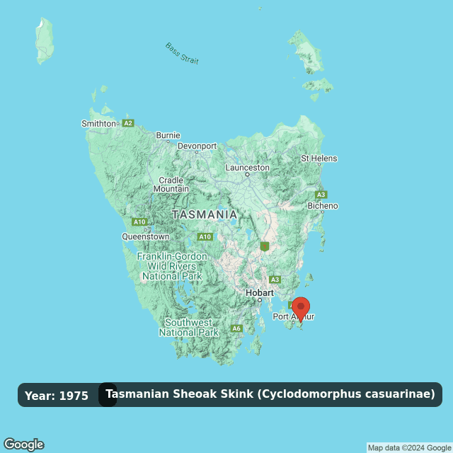 An animated GIF showing observations of Tasmanian Sheoak Skink (Cyclodomorphus casuarinae) on a map of Tasmania annually from 1975 to 2024.